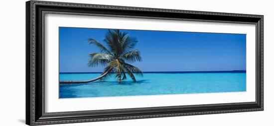 Palm Tree in the Sea, Maldives-null-Framed Photographic Print