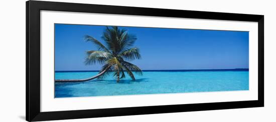 Palm Tree in the Sea, Maldives-null-Framed Photographic Print