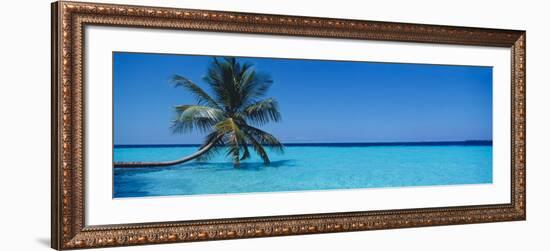 Palm Tree in the Sea, Maldives-null-Framed Photographic Print