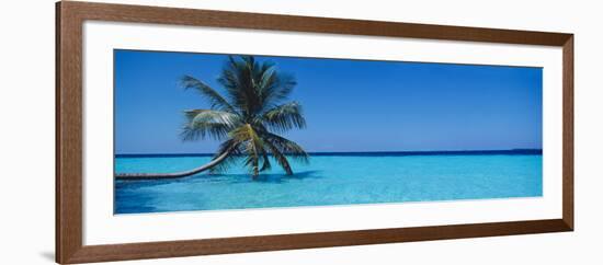 Palm Tree in the Sea, Maldives-null-Framed Photographic Print