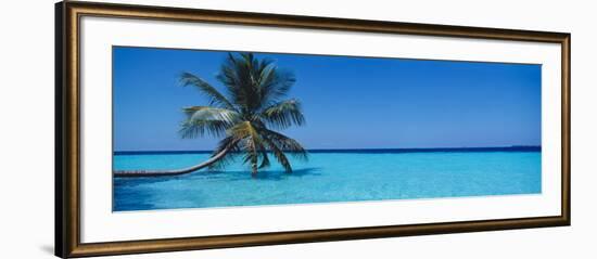 Palm Tree in the Sea, Maldives-null-Framed Photographic Print