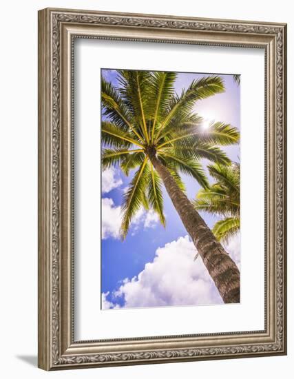 Palm Tree in Titikaveka, Rarotonga, Cook Islands, South Pacific Ocean, Pacific-Matthew Williams-Ellis-Framed Photographic Print