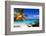 Palm Tree in Trunk Bay, St John, USVI-George Oze-Framed Photographic Print