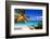 Palm Tree in Trunk Bay, St John, USVI-George Oze-Framed Photographic Print