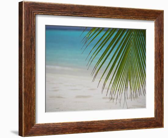 Palm Tree Leaf and Tropical Beach, Maldives, Indian Ocean-Papadopoulos Sakis-Framed Photographic Print