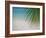 Palm Tree Leaf and Tropical Beach, Maldives, Indian Ocean-Papadopoulos Sakis-Framed Photographic Print