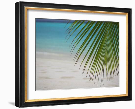 Palm Tree Leaf and Tropical Beach, Maldives, Indian Ocean-Papadopoulos Sakis-Framed Photographic Print