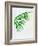 Palm Tree Leaves-Jasmine Woods-Framed Art Print