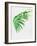 Palm Tree Leaves-Jasmine Woods-Framed Art Print