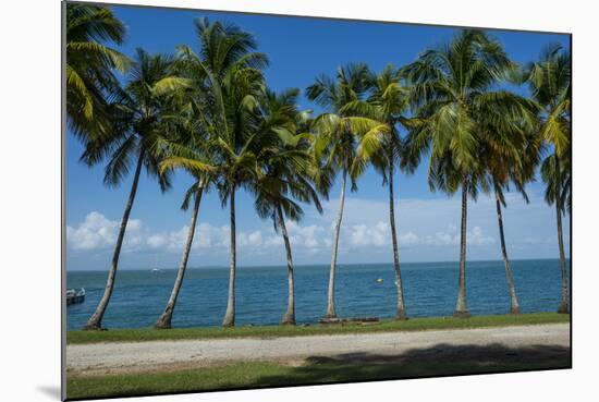 Palm Tree Line, Royal Island, Iles Du Salut, Devils Island, French Guiana, Department of France-Michael Runkel-Mounted Photographic Print