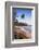 Palm Tree, Mirissa Beach, South Coast of Sri Lanka, Sri Lanka, Asia-Matthew Williams-Ellis-Framed Photographic Print