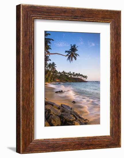 Palm Tree, Mirissa Beach, South Coast of Sri Lanka, Sri Lanka, Asia-Matthew Williams-Ellis-Framed Photographic Print