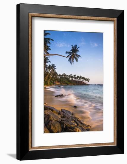 Palm Tree, Mirissa Beach, South Coast of Sri Lanka, Sri Lanka, Asia-Matthew Williams-Ellis-Framed Photographic Print