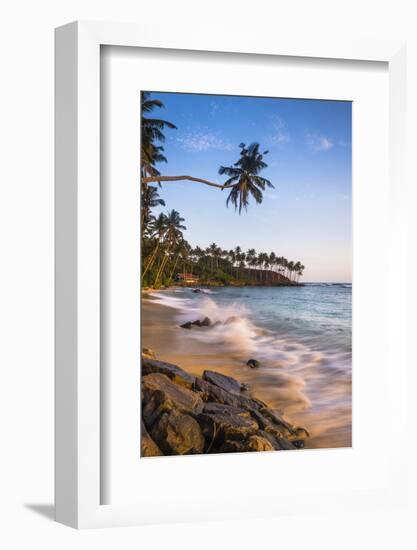 Palm Tree, Mirissa Beach, South Coast of Sri Lanka, Sri Lanka, Asia-Matthew Williams-Ellis-Framed Photographic Print