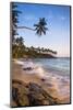 Palm Tree, Mirissa Beach, South Coast of Sri Lanka, Sri Lanka, Asia-Matthew Williams-Ellis-Mounted Photographic Print