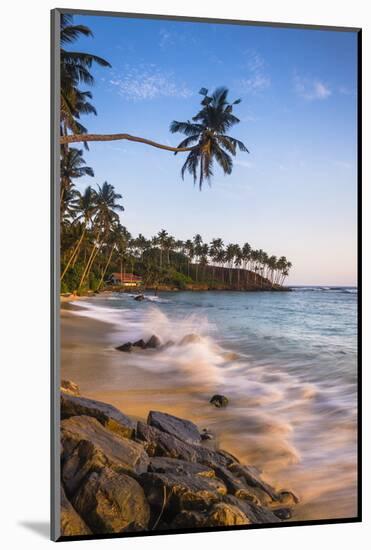 Palm Tree, Mirissa Beach, South Coast of Sri Lanka, Sri Lanka, Asia-Matthew Williams-Ellis-Mounted Photographic Print