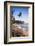 Palm Tree, Mirissa Beach, South Coast of Sri Lanka, Sri Lanka, Asia-Matthew Williams-Ellis-Framed Photographic Print