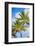 Palm Tree, Muri, Rarotonga, Cook Islands, South Pacific, Pacific-Matthew Williams-Ellis-Framed Photographic Print