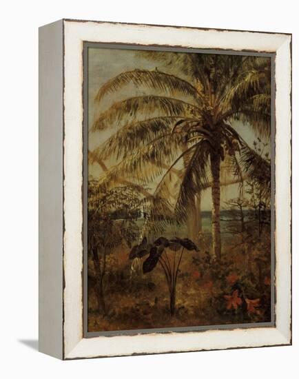 Palm Tree, Nassau, 1892-Albert Bierstadt-Framed Premier Image Canvas