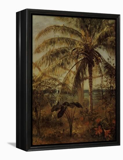 Palm Tree, Nassau, 1892-Albert Bierstadt-Framed Premier Image Canvas