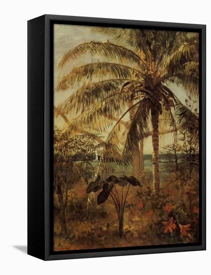 Palm Tree, Nassau, 1892-Albert Bierstadt-Framed Premier Image Canvas
