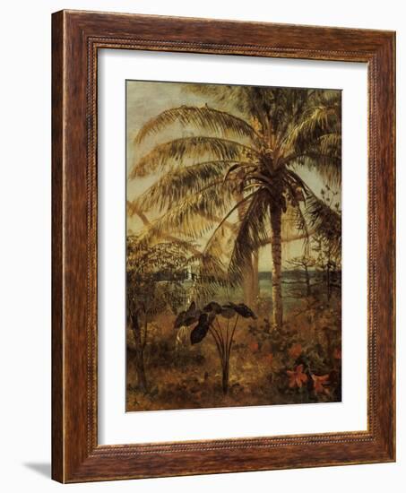 Palm Tree, Nassau, 1892-Albert Bierstadt-Framed Giclee Print