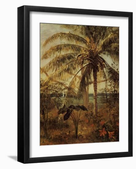 Palm Tree, Nassau, 1892-Albert Bierstadt-Framed Giclee Print