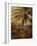 Palm Tree, Nassau, 1892-Albert Bierstadt-Framed Giclee Print