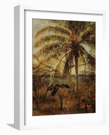 Palm Tree, Nassau, 1892-Albert Bierstadt-Framed Giclee Print