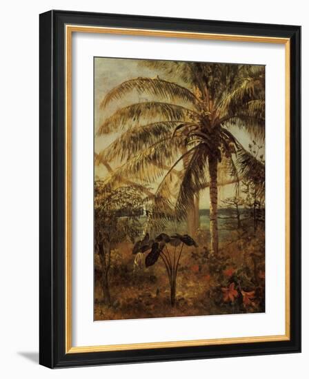 Palm Tree, Nassau, 1892-Albert Bierstadt-Framed Giclee Print