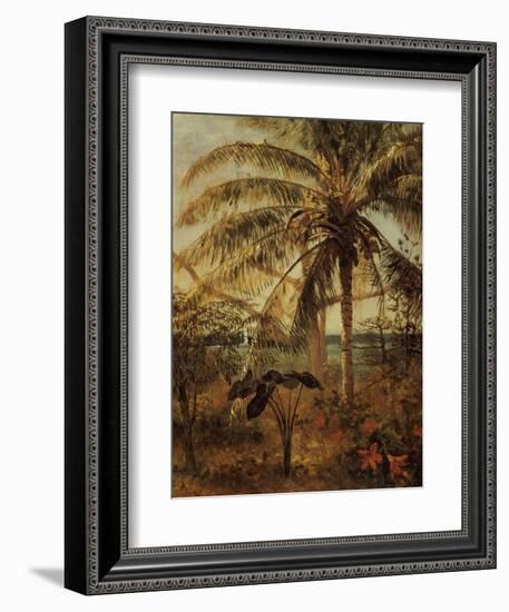 Palm Tree, Nassau, 1892-Albert Bierstadt-Framed Giclee Print