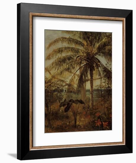 Palm Tree, Nassau, 1892-Albert Bierstadt-Framed Giclee Print