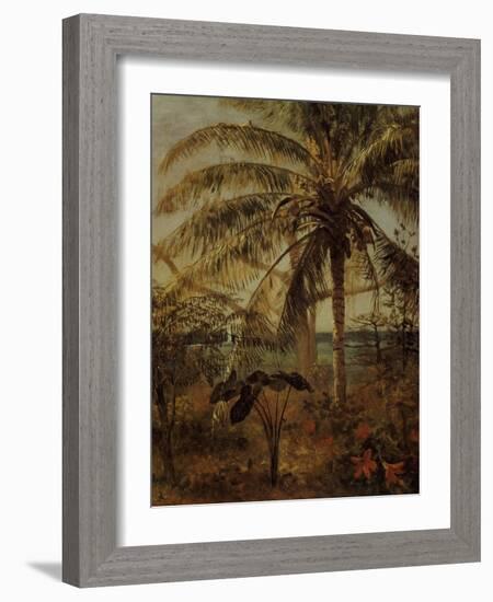 Palm Tree, Nassau, 1892-Albert Bierstadt-Framed Giclee Print