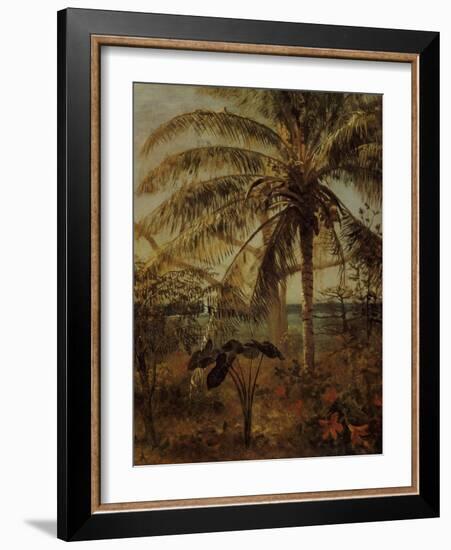 Palm Tree, Nassau, 1892-Albert Bierstadt-Framed Giclee Print