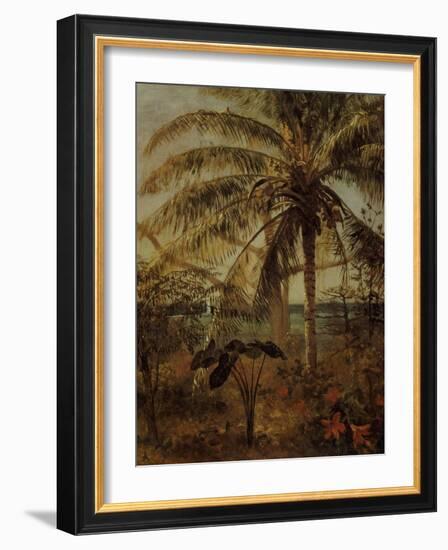 Palm Tree, Nassau, 1892-Albert Bierstadt-Framed Giclee Print