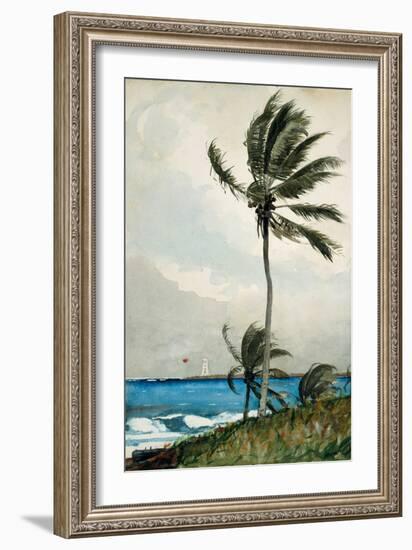 Palm Tree, Nassau, 1898-Winslow Homer-Framed Giclee Print