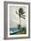 Palm Tree, Nassau, 1898-Winslow Homer-Framed Giclee Print