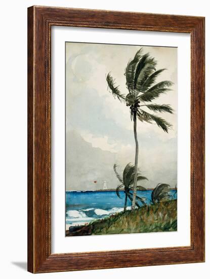 Palm Tree, Nassau, 1898-Winslow Homer-Framed Giclee Print