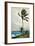 Palm Tree, Nassau, 1898-Winslow Homer-Framed Giclee Print