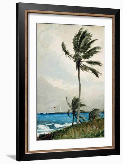 Palm Tree, Nassau, 1898-Winslow Homer-Framed Giclee Print