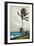 Palm Tree, Nassau, 1898-Winslow Homer-Framed Giclee Print