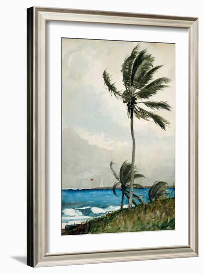 Palm Tree, Nassau, 1898-Winslow Homer-Framed Giclee Print