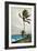 Palm Tree, Nassau, 1898-Winslow Homer-Framed Giclee Print