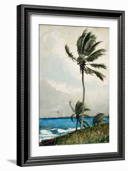 Palm Tree, Nassau, 1898-Winslow Homer-Framed Giclee Print