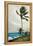 Palm Tree, Nassau, 1898-Winslow Homer-Framed Premier Image Canvas