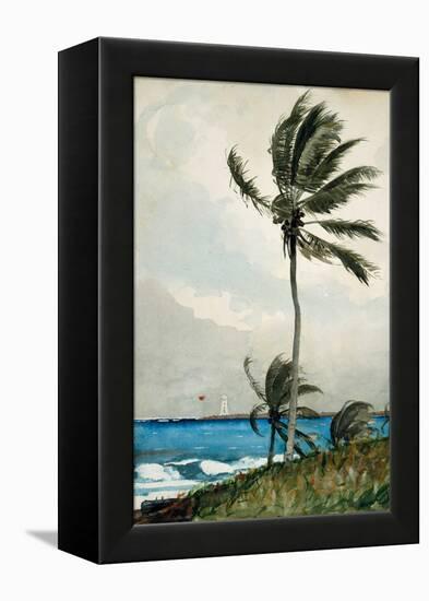 Palm Tree, Nassau, 1898-Winslow Homer-Framed Premier Image Canvas