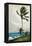 Palm Tree, Nassau, 1898-Winslow Homer-Framed Premier Image Canvas