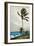 Palm Tree, Nassau, 1898-Winslow Homer-Framed Premium Giclee Print