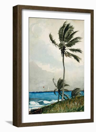 Palm Tree, Nassau, 1898-Winslow Homer-Framed Premium Giclee Print