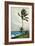 Palm Tree, Nassau, 1898-Winslow Homer-Framed Premium Giclee Print